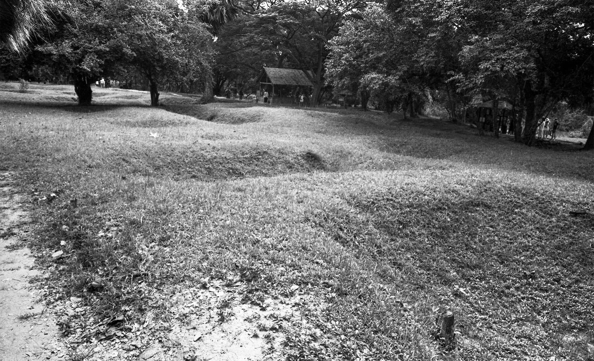 Des dépressions du terrain recouvertes de végétation sur le site des Killing Fields.