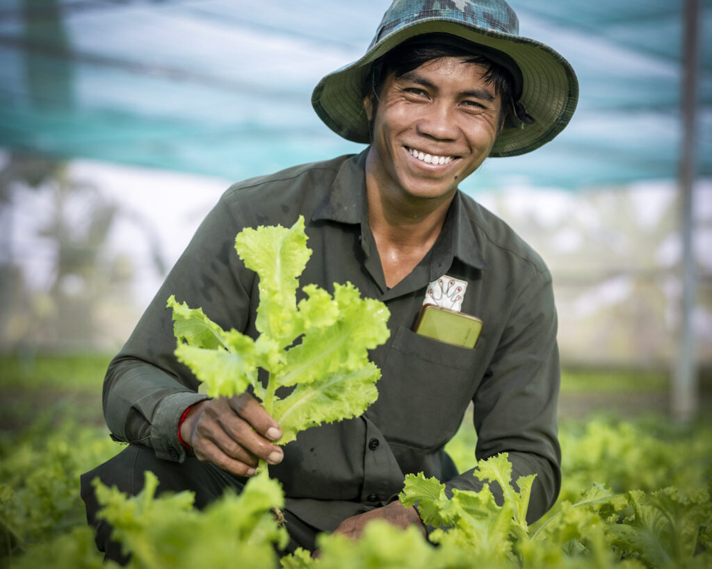 Staff member showing freshly harvested lettuce.